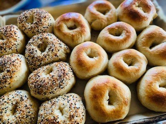 Sourdough Bagels fresh out of the oven!