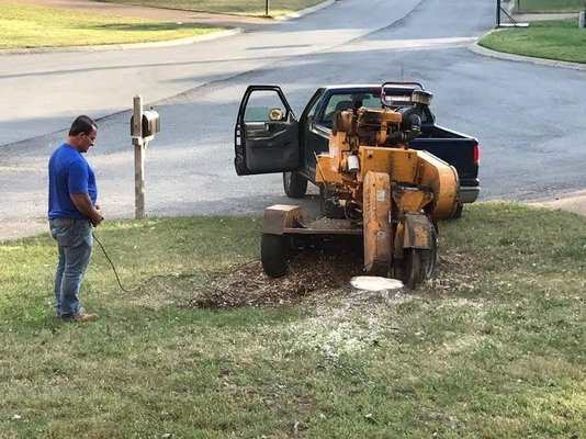 Stump grinding in process.