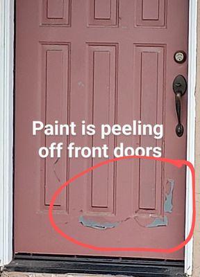 Paint is the responsibility of Premier community services and the hoa board.