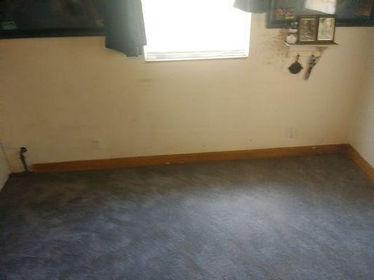 Carpet that got put down on a little job up north