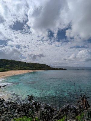 Wildlife Hawaii