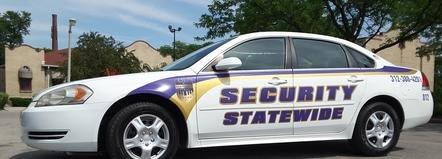 Statewide Security & Safety Group