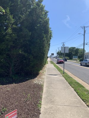 Busy Shore Road