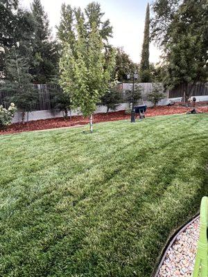 After Michael's team leveled land, laid weed barriers and wood chips. Beautiful work!