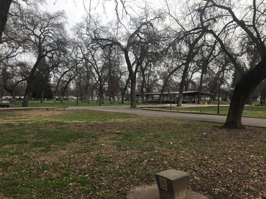 Picnic area and open field and bbqs