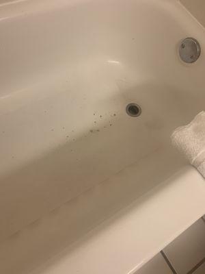 Dirty Bathtub