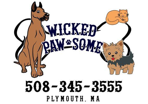 Doggy Daycare located in Plymouth, Massachusetts!