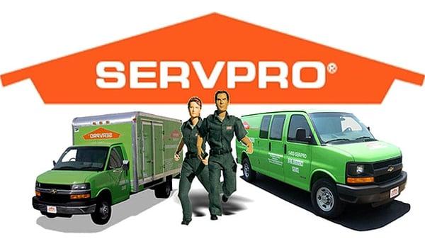 SERVPRO of Cambridge/Belmont