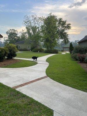 the pathways to the other buildings