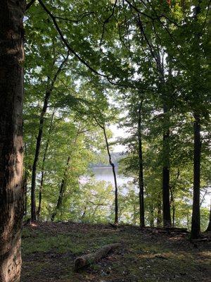 View of the lake from our site.