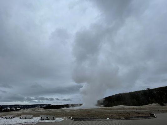 Old faithful at sunrise on a drury morning