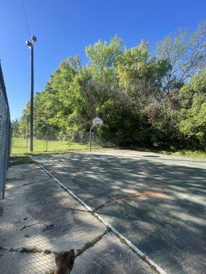 Basketball Court