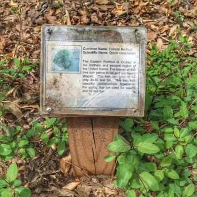 Informational/Educational markers along the trails: Lake Brandt