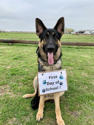 Marks-A-Lot Kennels