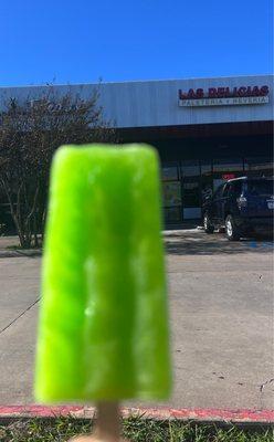 Best paletas of all time!