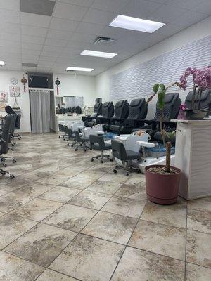 Pedicure chairs