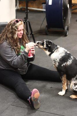 Gym guard dog