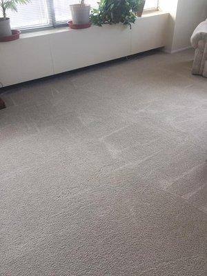 Clean carpet