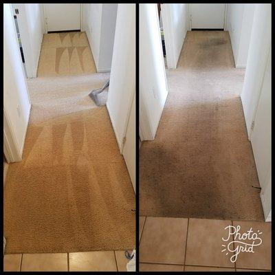 Reliable Carpet Care