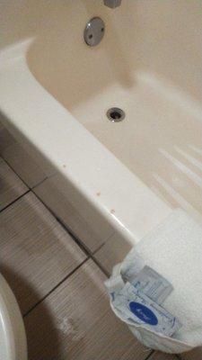 Mold/ discoloration on tub