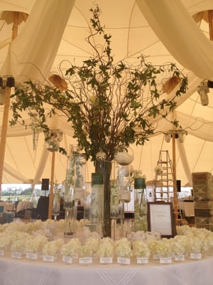 Place Card Display