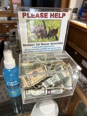 The animal shelter box that the store owner put the extra money into