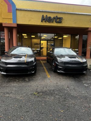 Hertz Kissimmee East Vine Street