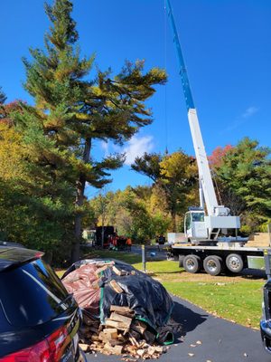 Letourneau Tree & Landscape Supply