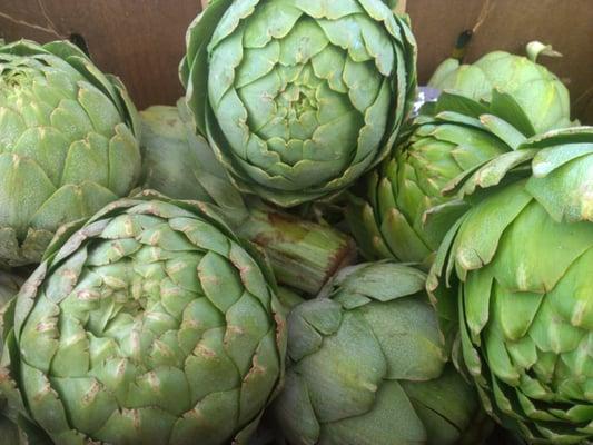 Castroville Artichokes