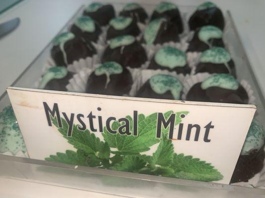 Mystical Mint