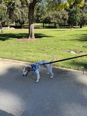 Veterans Memorial Park