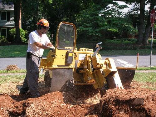 Billy's Stump Removal