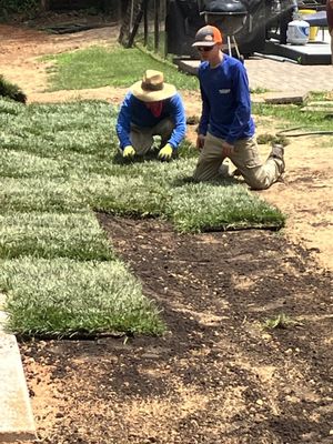 Sod job around a pool