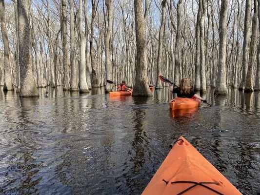 Backwater Expeditions