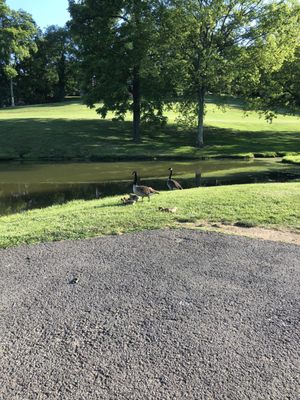 Wildlife on Hole 5