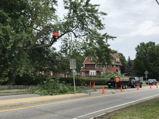 Removals in urban areas are no problem for us! We can safely and accurately prune and remove trees in most any location!