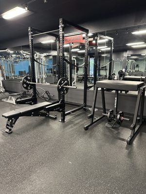 Rouge squat rack and low back extension machine.