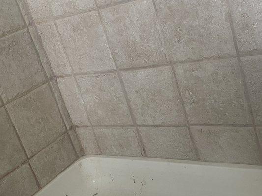 After photo of grout cleaning for a standing shower