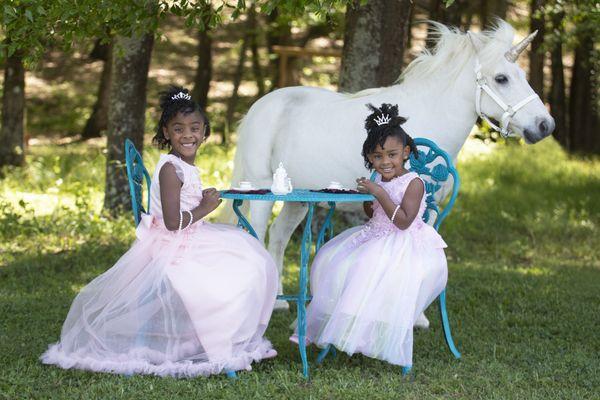 Book your Tea Party with a real Unicorn! Social Circle, GA 
dkphotographyga@yahoo.com