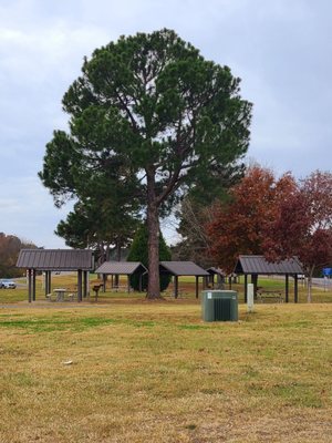 Picnic Area