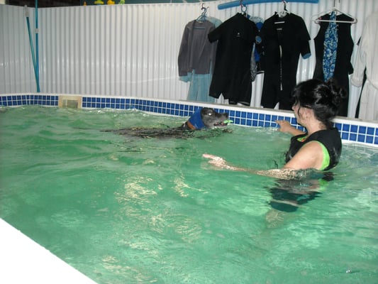 Warm water therapy for improved health and mobility.