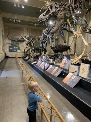 Dinosaur exhibit