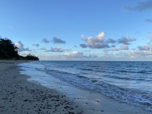 Punalu'u Beach