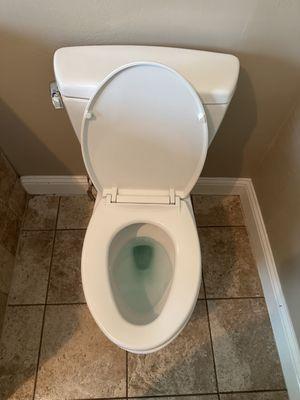 Fully Cleaned Toilet & Bathroom