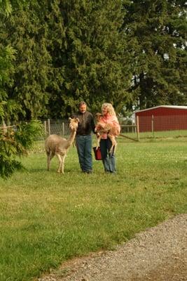 Starr Alpaca Farm