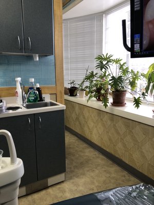 Inside patient room. PLANTS!