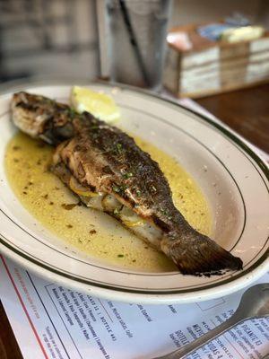 Grilled Branzino