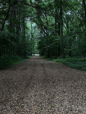 Path with tent camping to the store