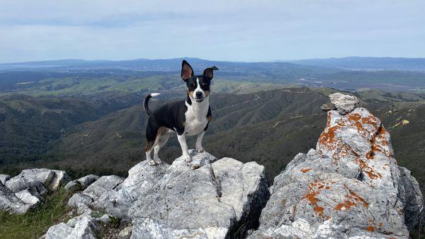 Salinas Animal Shelter