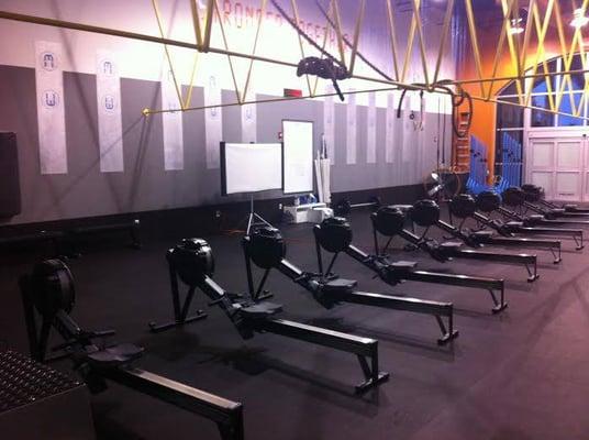 Rowing workouts at Iron Tribe Fitness Naples